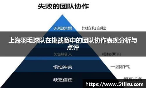 上海羽毛球队在挑战赛中的团队协作表现分析与点评